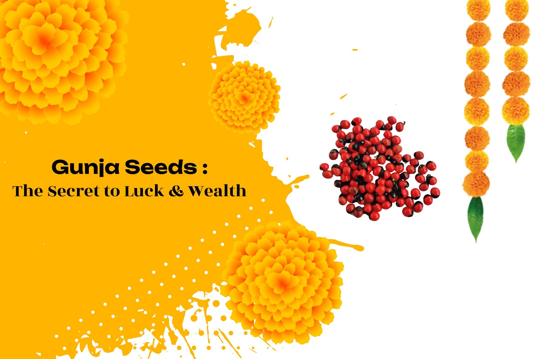 Gunja Seeds – Spiritual Uses, Benefits & Power