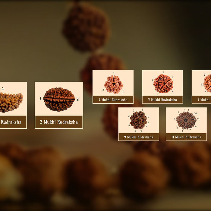 The Benefits of Wearing Rudraksha