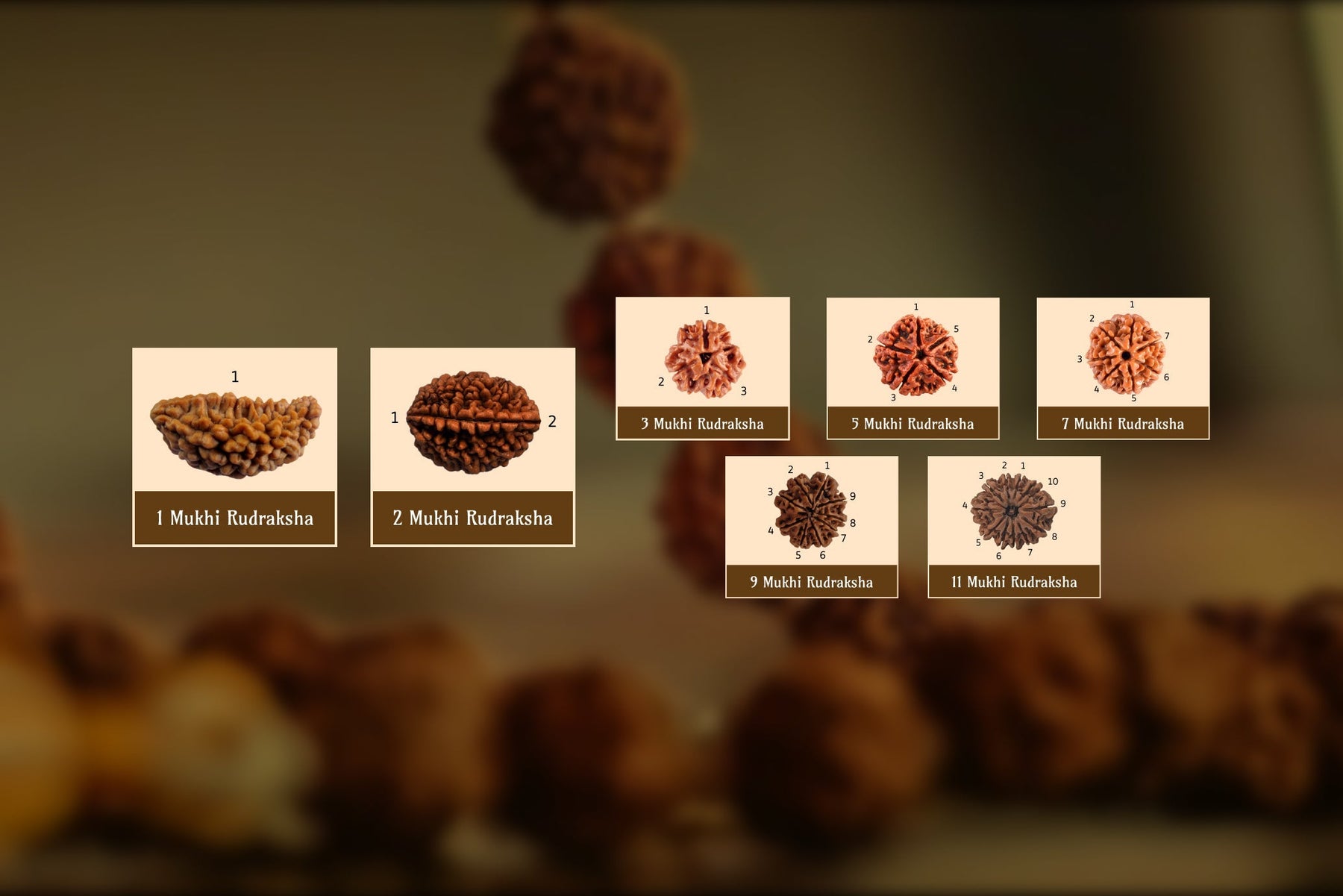 The Benefits of Wearing Rudraksha